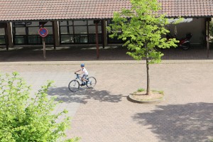 IMG_4624
