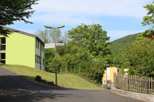 IMG_4642 