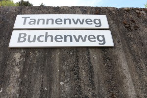 IMG_4699 